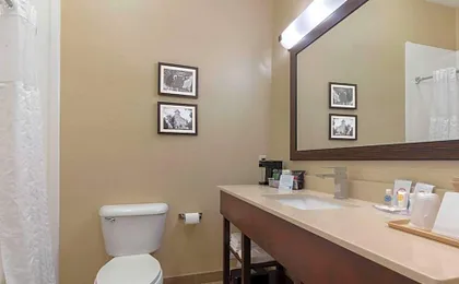 Comfort Inn & Suites Fayetteville-University Area