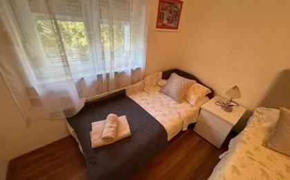 Blue Tree Rooms