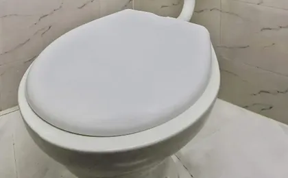OYO Townhouse 286 Vaishali Dakshini Pitampura