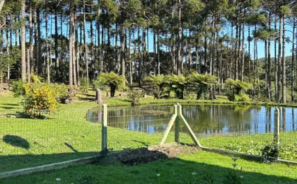 Recanto Das Araucarias - Carazal, Gramado.