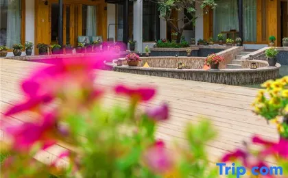 Yunli Fei Bird Flyer Snow Mountain Photo Hotel (Lijiang No.3 Courtyard)