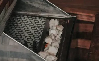 Nyc Berrini 1909