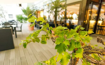 Luna Inn Stuttgart City