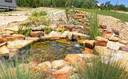 Arbor House of Dripping Springs - Finch House