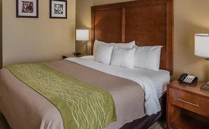 Comfort Inn Midland