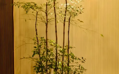 Hotel Z (Shenzhen Futian Nonglin Subway Station)