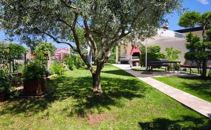 Apartment Dado