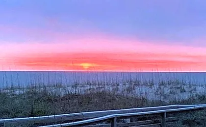 Coral Surf #A1 - Beachy Keen