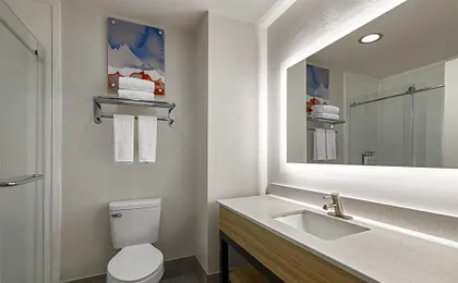 Best Western Premier Houston Downtown/Convention Center Hotel