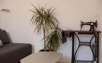 Makarska City Center Apartments