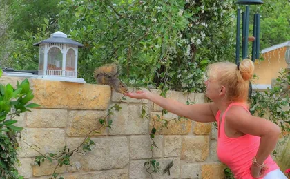 Rarumpelpunzeldornaschenwittchen