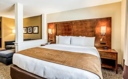 Comfort Suites Channelview
