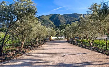 Bernardus Lodge & Spa