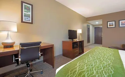 Comfort Inn Willow Springs US 60 and US 63