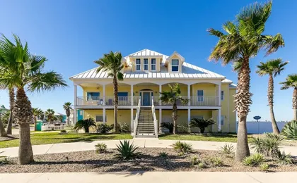 Porpoise of Life 328 by RedAwning