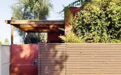Silver Lake Mid-century Nestled in the Treetops