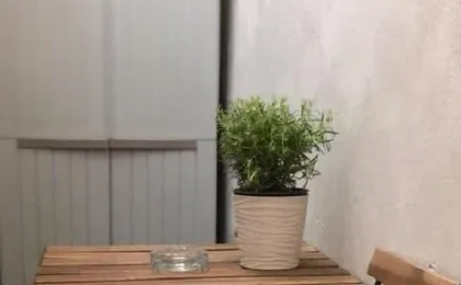Apartment Palm Home