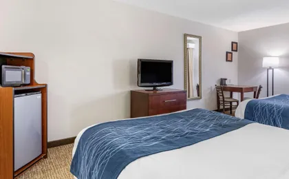 Comfort Inn Downtown