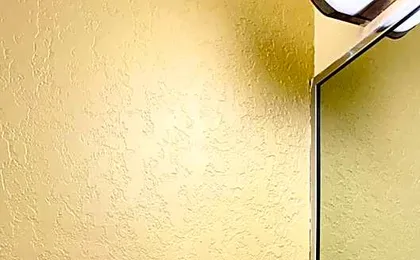 Budget Inn Of Orlando Downtown