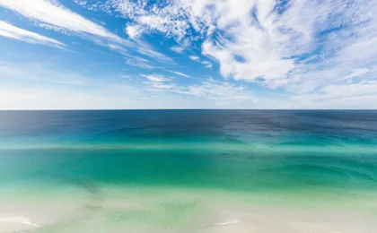 Seas The Day
