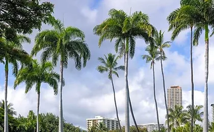Luana Waikiki Hotel & Suites