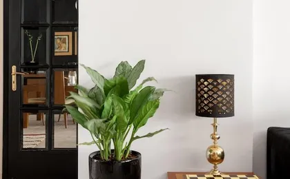 Fresh Detailed Stylish Apt at Acropolis