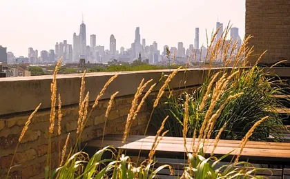 The Robey, Chicago, a Member of Design Hotels