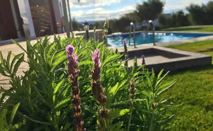 Villa in Arkadi with Pool Near the Sea