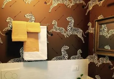 Zebra Rosso