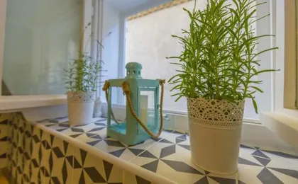 apartment Ivo