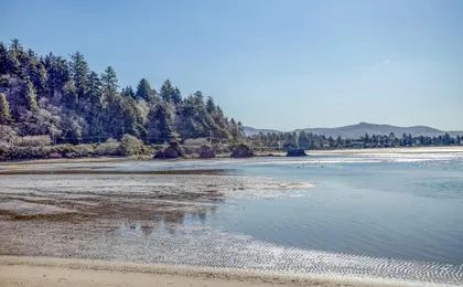 Eagles Bluff