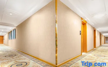 Vienna International Hotel (Wuhan Tianhe Airport Songjiagang Subway Station)