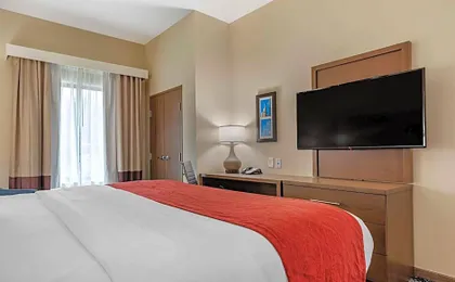 Comfort Inn & Suites Downtown near University