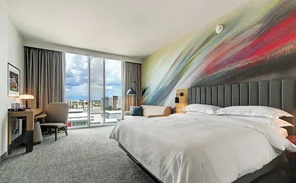 Hilton University Of Houston