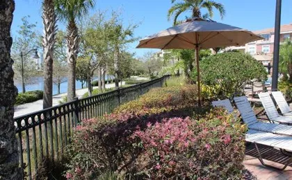 205 - Disney, Universal, Convention Center