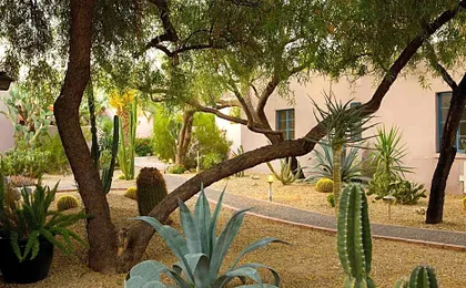 Lodge On The Desert