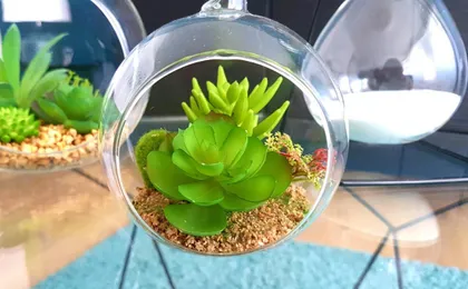Naeva Feng Shui
