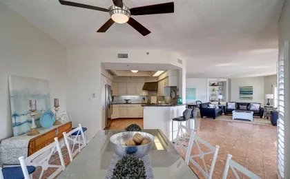 Beach Palms 504
