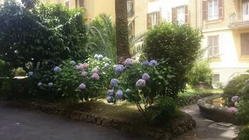 Fiocca