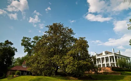 Dunleith Historic Inn