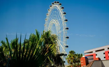 Holiday Inn Express & Suites Orlando at Seaworld