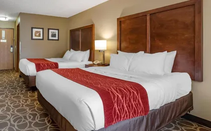 Comfort Inn Dyersville