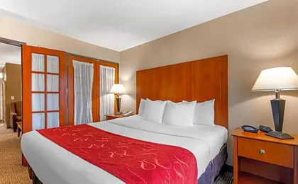 Comfort Suites North Dallas
