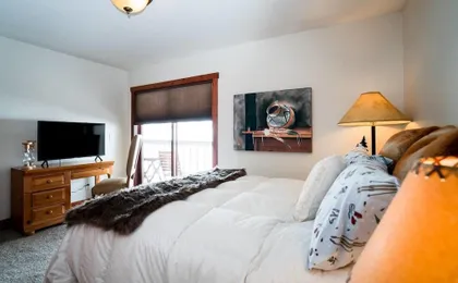 The Mountain Escape in Vail