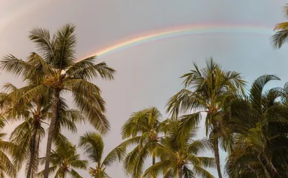 Ohia Waikiki Studio Suites