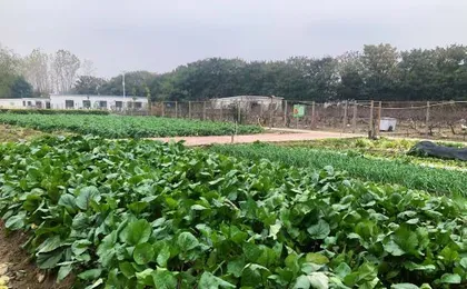 WUHAN JOINTOWN WHITE SWAN ECO HOTEL