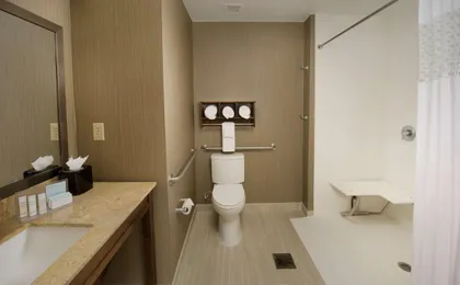 Hampton Inn & Suites San Antonio-Downtown / Market Square