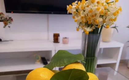 Citrus Dream Apartment