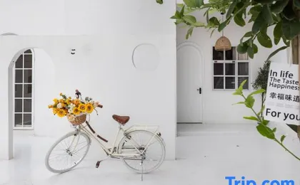 Shanghai Qiyu B & B
