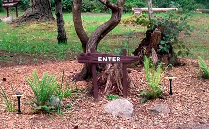 Inn to the Woods